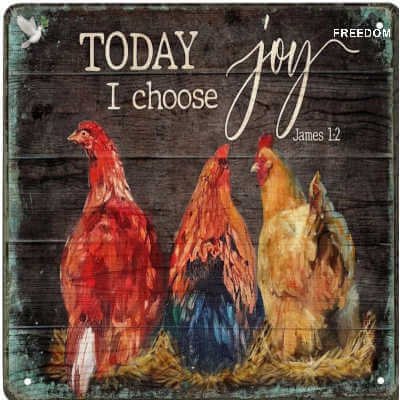 Metal Vintage Tin Sign Decor Chicken, Today I Choose Joy