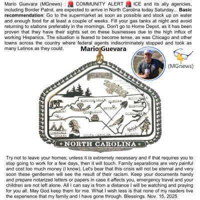 Stationery Letterhead, Holiday Reindeer, 8.5"x11", Printer Friendly, 50 Sheets,