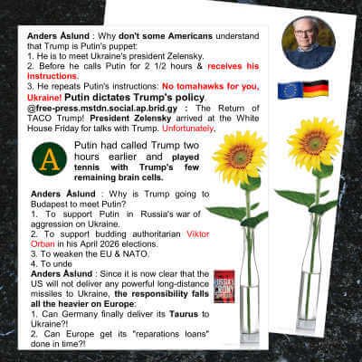 Sunflower Day Letterhead Stationery, 80 count, Inkjet and Laser Printer Compatible, 2020148