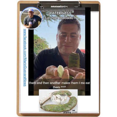 Hardboard Office Clipboard, 6-Pack, Brown