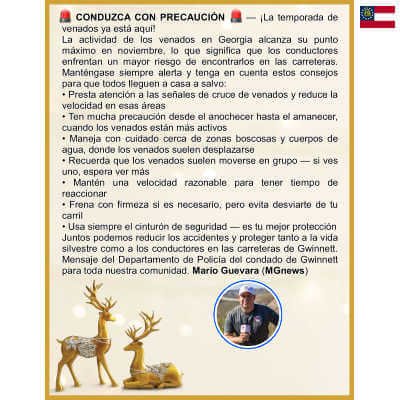 Stationery Letterhead, Holiday Reindeer, 50 Sheets, 2024037, Great Papers!