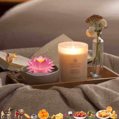 Candle Scented Candle Peace + Tranquility, Cashmere Jasmine, Chesapeake Bay