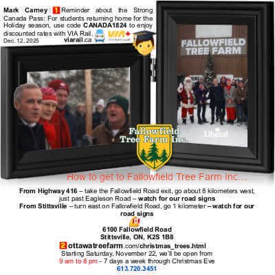 Double Hinged Picture Frame, 4 by 6, Black, Tamolus