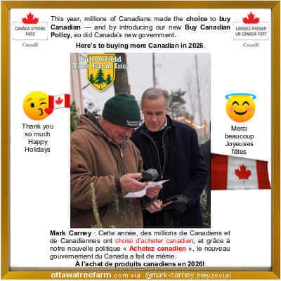 Floating Picture Frame 12 by 12, Bronze Aluminum, Frametory