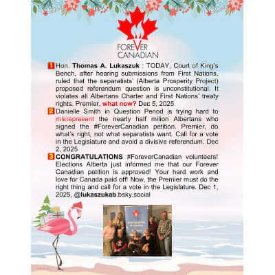 Merry Flamingo Letterhead, 8.5 by 11, 80 Count, 2019105, Great Papers!