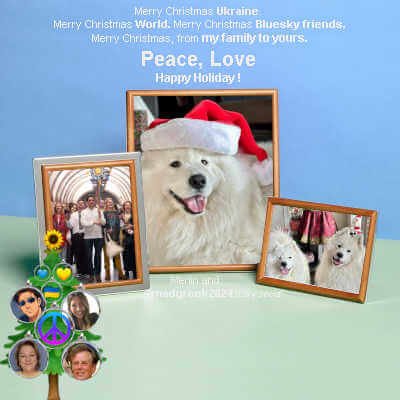 Nambe Hayden Collection Picture Frame, Silver & Wood