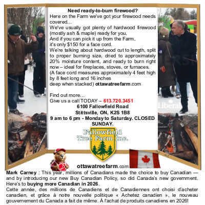 Poster Board, Large 40 by 28 Tri Fold Display, 8 PCS, Cosweet