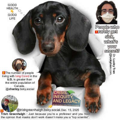 Winston & Bear 3D Dog Stickers, 2pack