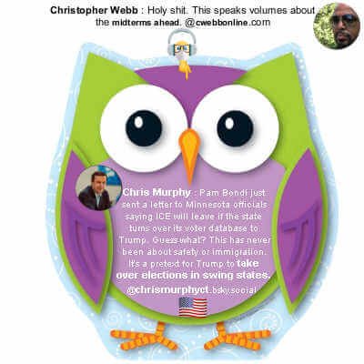 Carson Dellosa Colorful 4-Pack Notepad Set, 50 Sheet Boho Bird, Frog, Owl, and Flower Notepads - Image 2