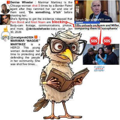 Fashion Working Birds Clear Stamp and Metal Cutting Dies Set, YIXUAN