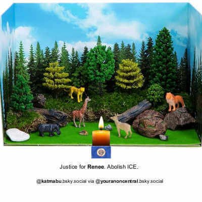 Jungle Style Diorama Box, 2 Sets, Rainforest Diorama Supplies Project