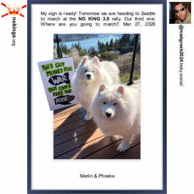 Homeforia A3 Picture Frame Navy Blue, High End Metal 11.7 by 16.5 inch