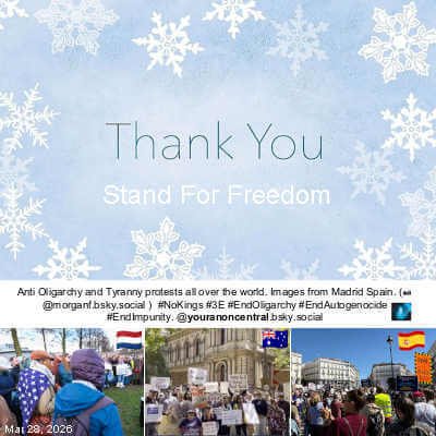 Merry Snowflake Foil Thank You Notecard, 50 count,Great Papers!