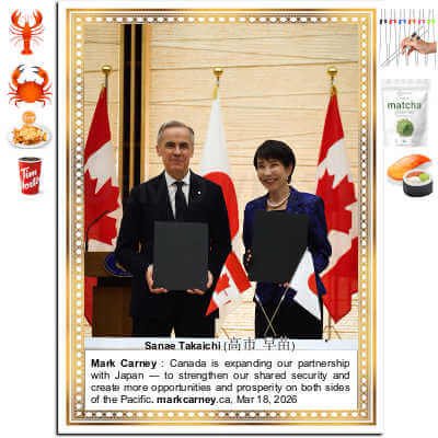 Premium Gold Foil Border Certificate Paper 8.5 by 11, 80 lb, 24 Sheets, DUGUTUL