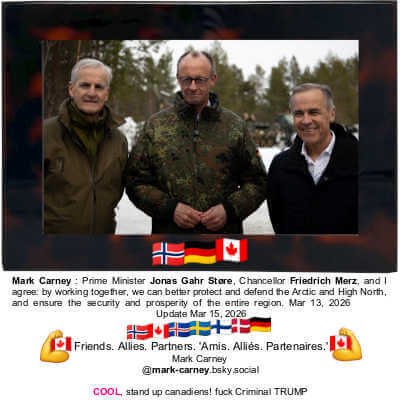 Tortoise 4 by 6 Frame, MARIPOSA