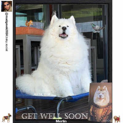 Canvas Floating Frame 8 by 10 with 0.9 Deep, Black, 1 Pack, Abtgt