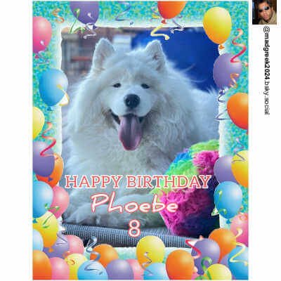 Great Papers! Party Letterhead, 8.5 by 11, 2014113