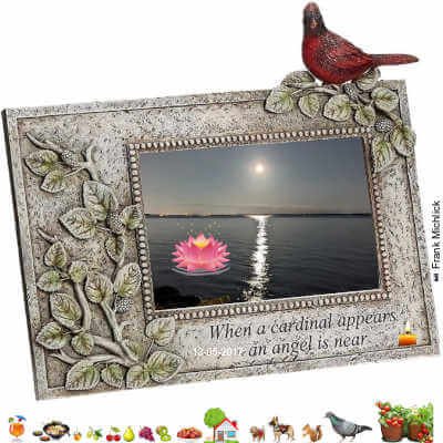 Cardinal Memorial Frame, 1pcs 10 by 8, Roman