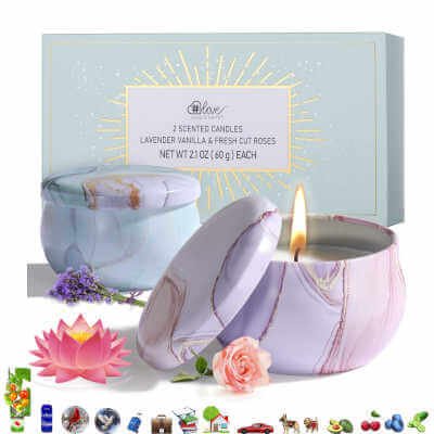 Soy Candles, Lavender, Vanilla, Rose Scents, 2-Pack
