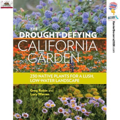The Drought-Defying California Garden, 2016, Greg Rubin