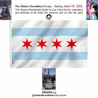 Fly Breeze 3 by 5 Foot City of Chicago Flag, ANLEY