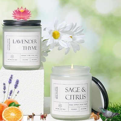 Molensun Sage & Citrus Scented Candles, Aromatherapy Jar Candle, 7 oz