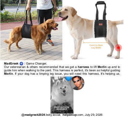 Adjustable Dog Sling for Large Dogs Hind Leg Support Weak Legs Mobility Aid, PICK FOR LIFE