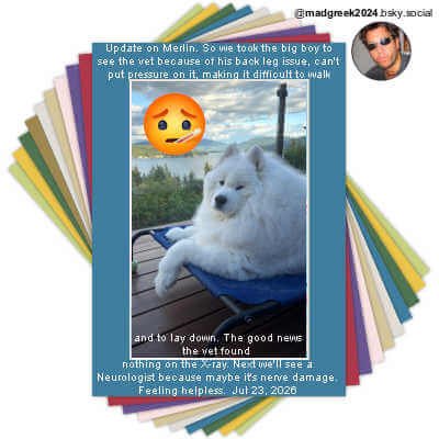 White Core Picture Mats, Pack of 10 5 by 7 Mixed Colors, Mat Board Center